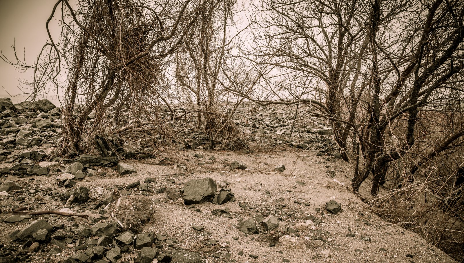 art-of-sandy-mo-staten island 2-70.jpg